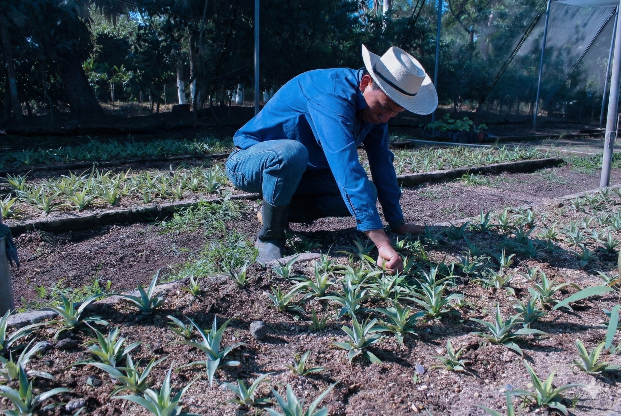 Farmer in El Salvador