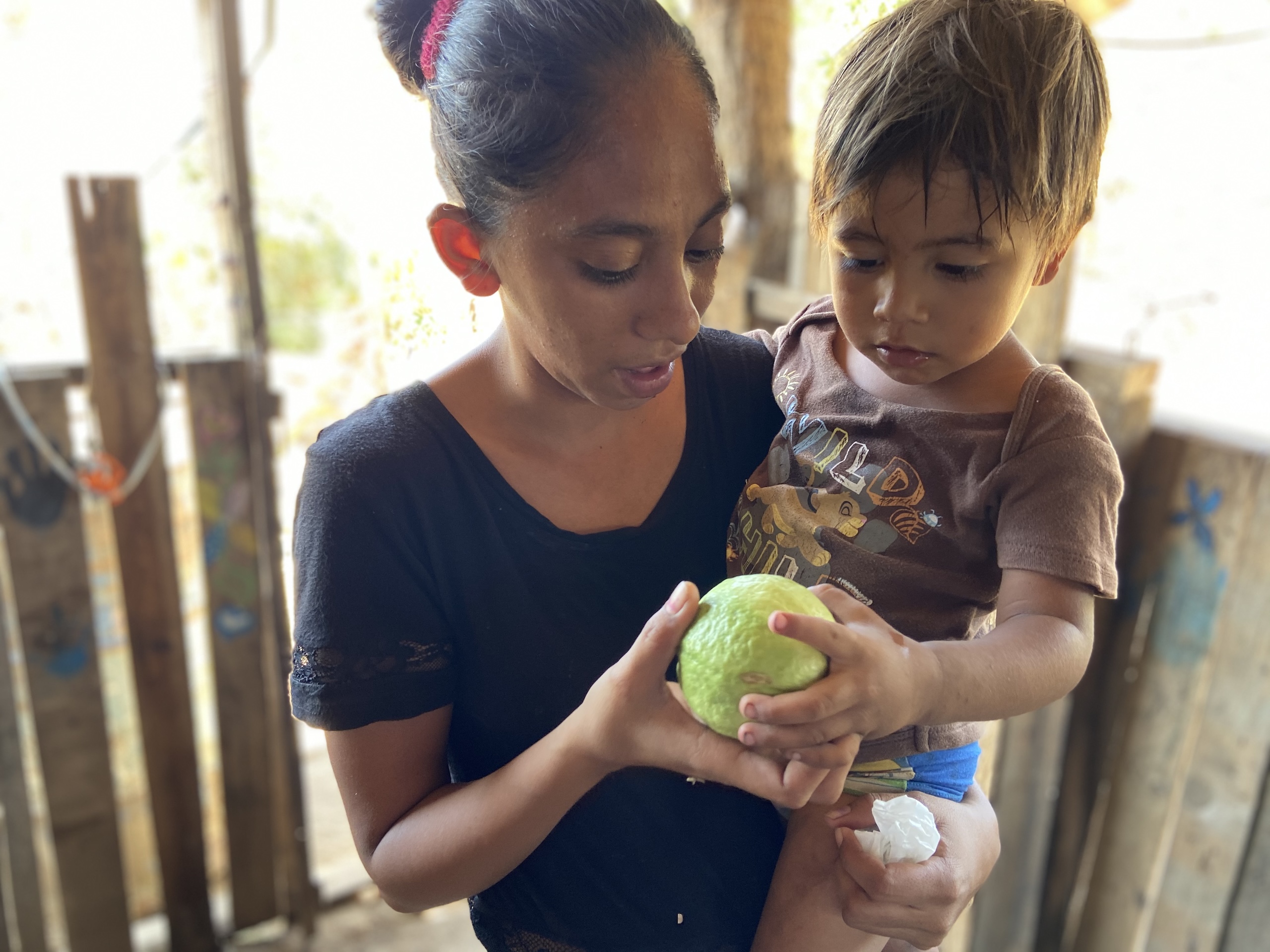 Community development and collaboration